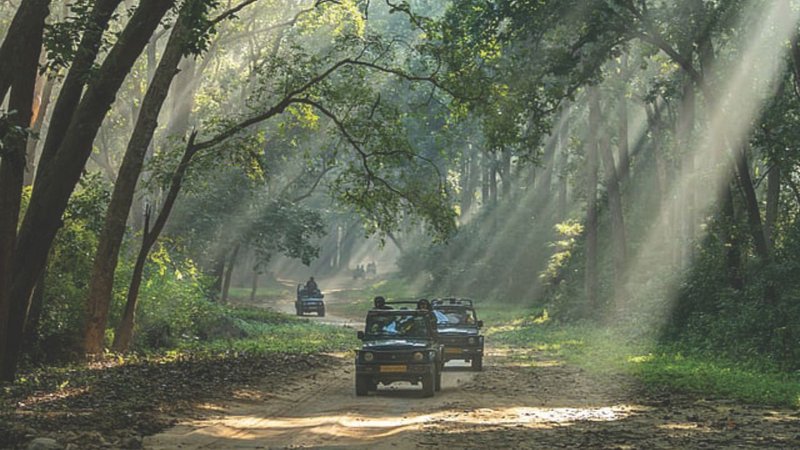 Untitled design - 2026-03-09T190118.008