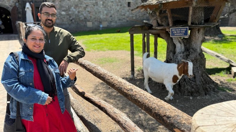 Untitled design - 2026-03-24T143038.287