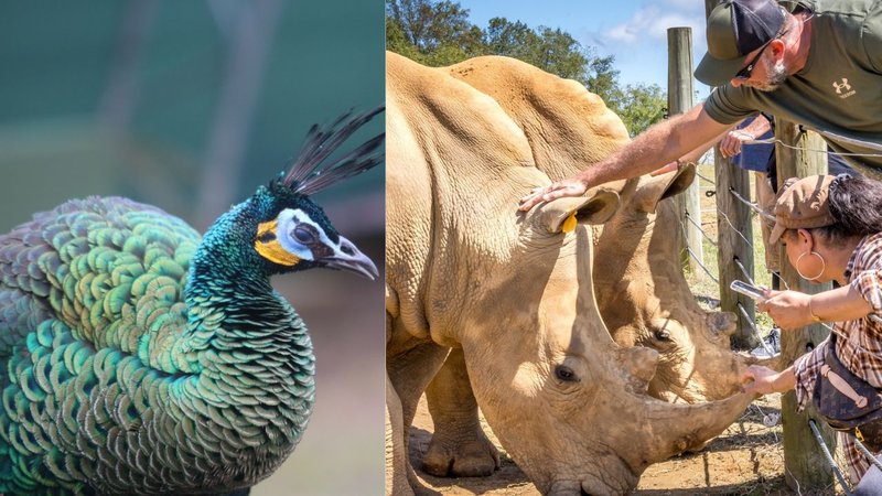 Untitled design - 2026-03-24T171443.600