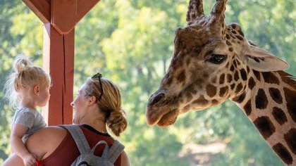ಕಾಡುಪ್ರಾಣಿಗಳೊಂದಿಗೆ ಒಂದಷ್ಟು ಹೊತ್ತು...