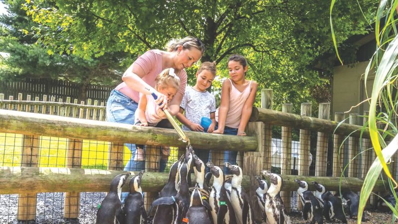 Untitled design - 2026-03-24T171503.989