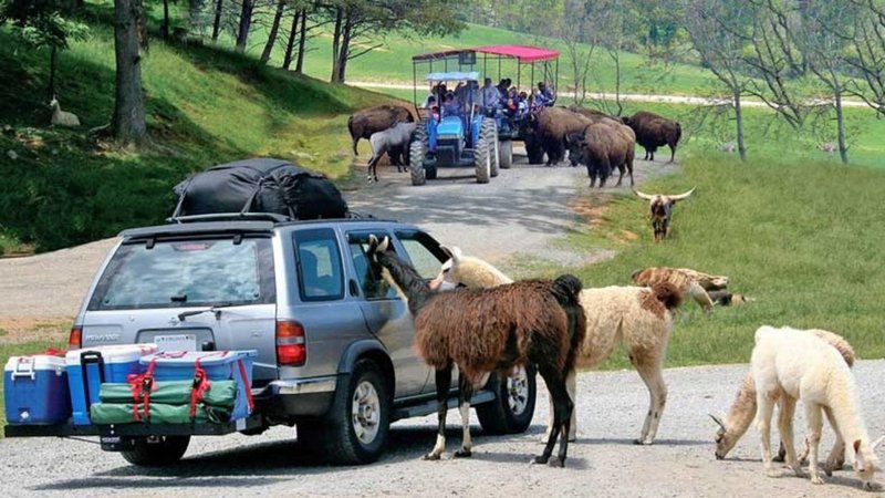 Untitled design - 2026-03-24T171516.698