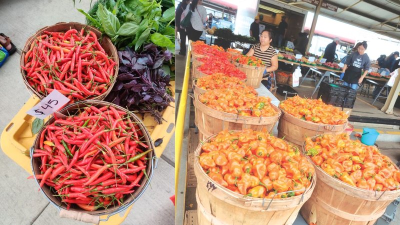 Untitled design - 2026-04-09T150149.298