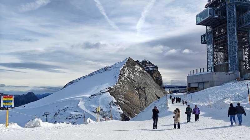 Untitled design - 2026-04-09T185316.538