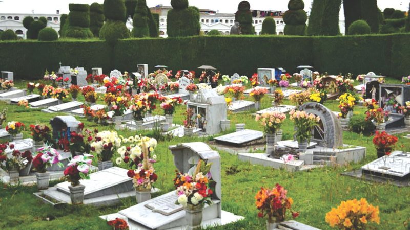 Untitled design - 2026-04-10T170628.585