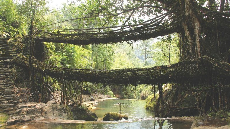 Untitled design - 2026-04-15T192313.438