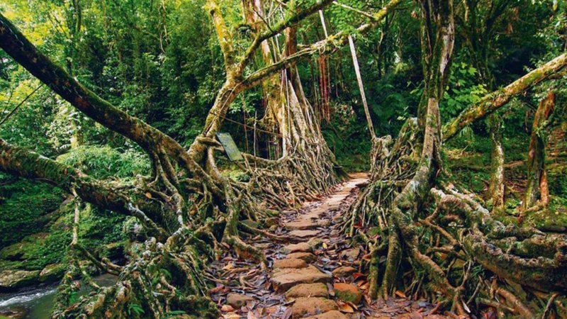 Untitled design - 2026-04-15T192320.127