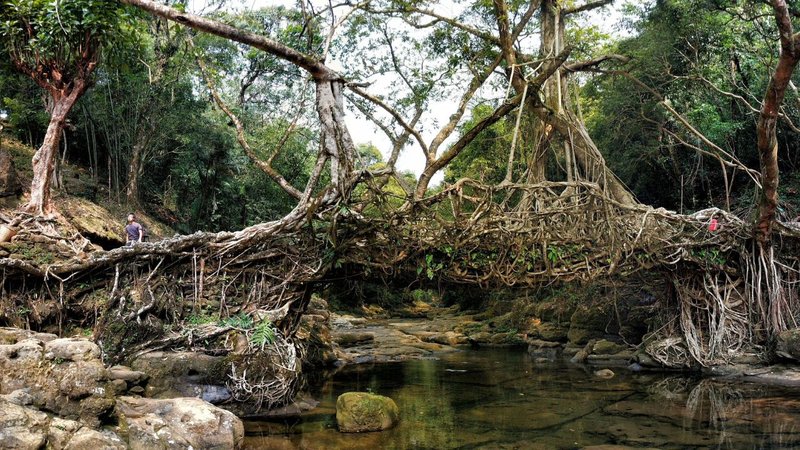 Untitled design - 2026-04-15T192329.079