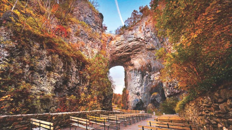 Untitled design - 2026-04-15T195519.714