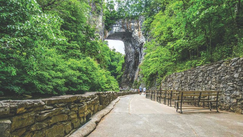 Untitled design - 2026-04-15T195535.309