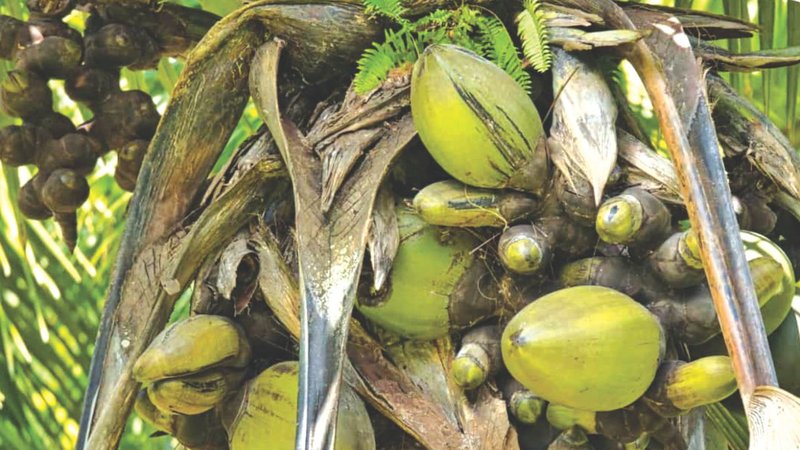 Untitled design - 2026-04-17T182120.931