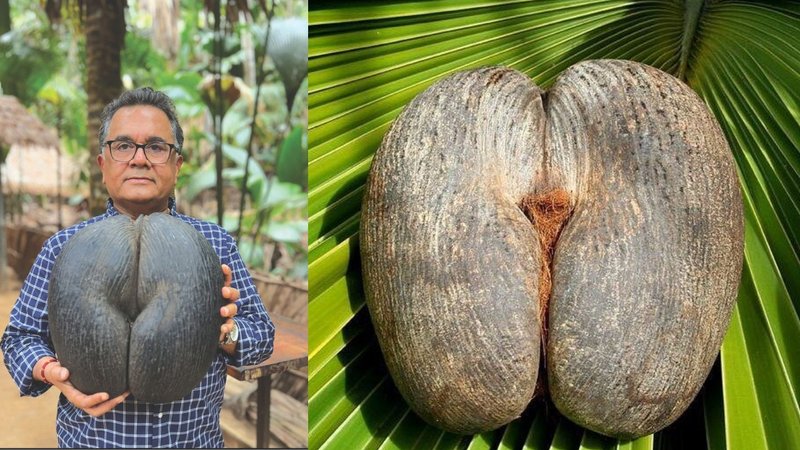 Untitled design - 2026-04-17T182129.035