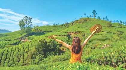 ಪ್ಲಾಂಟೇಶನ್ ವಾಕ್ ಪ್ರವಾಸೋದ್ಯಮ