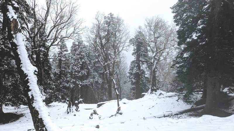 Untitled design - 2026-04-21T183123.158