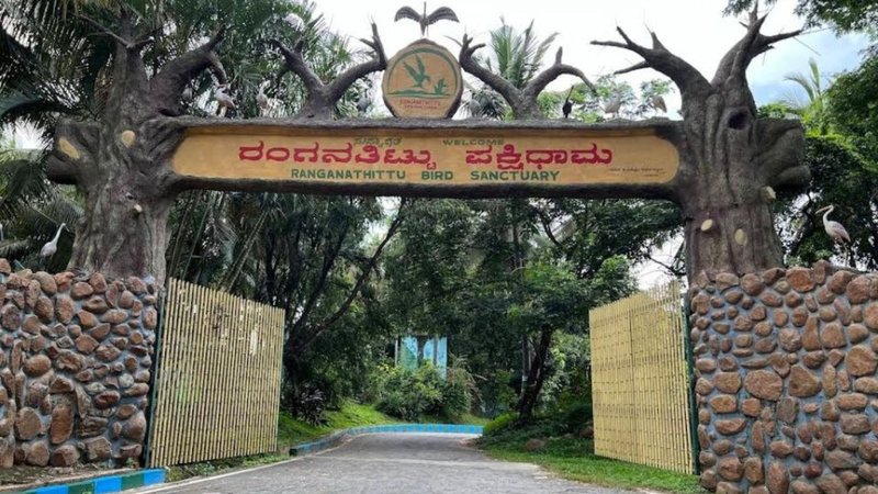 Untitled design - 2026-04-22T111848.843