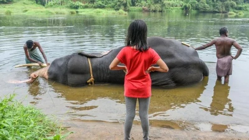 Untitled design - 2026-04-22T112201.675