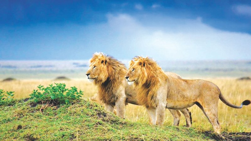 Untitled design - 2026-04-27T105104.279