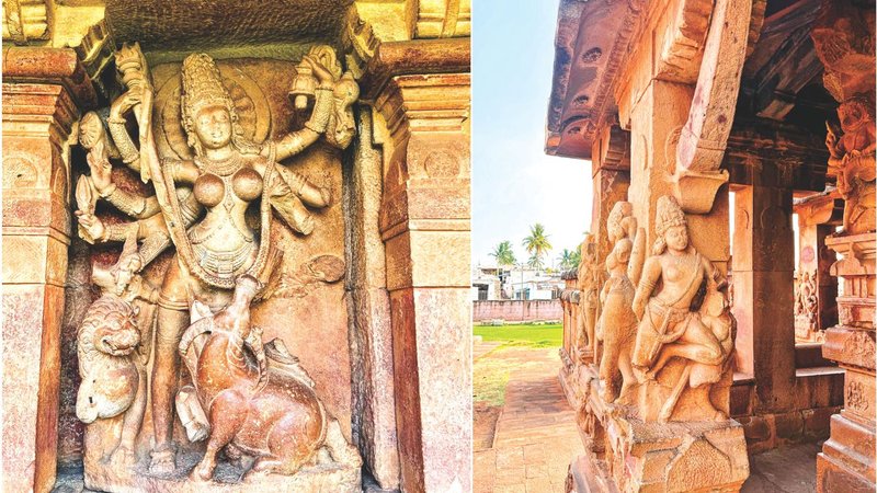 Untitled design - 2026-04-27T131305.226