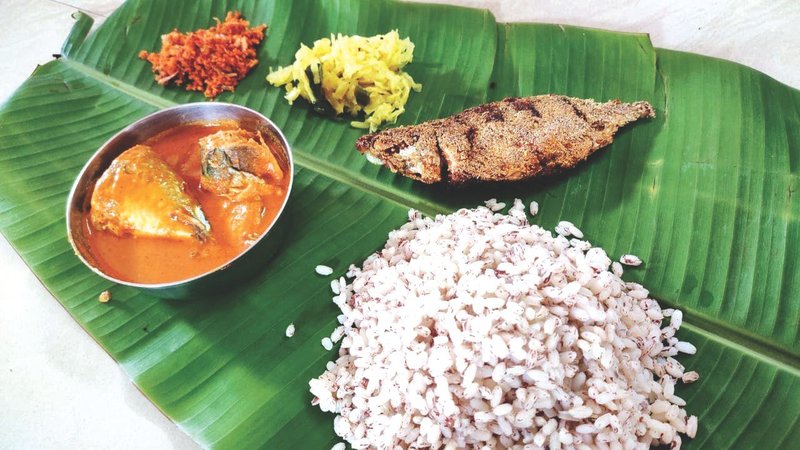 Untitled design - 2026-04-27T142229.693