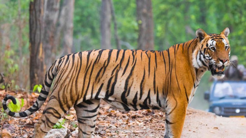 Untitled design - 2026-04-28T131651.429