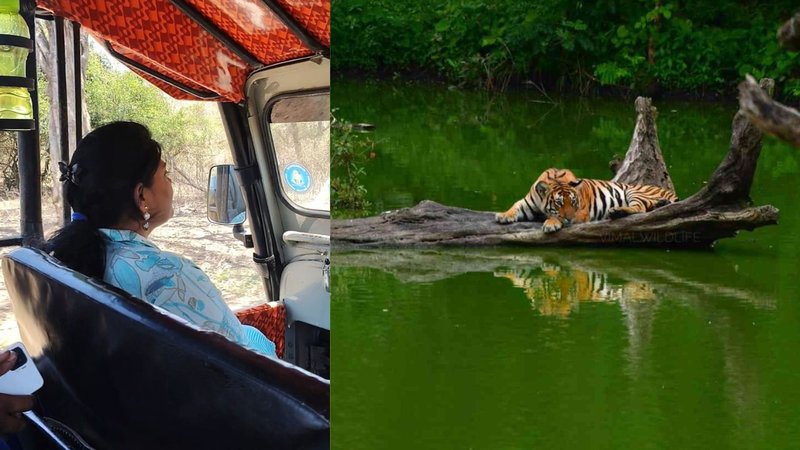 Untitled design - 2026-04-28T131701.030