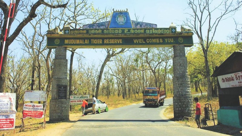 Untitled design - 2026-04-28T131712.629