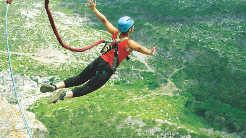 Untitled design - 2026-04-28T150711.509