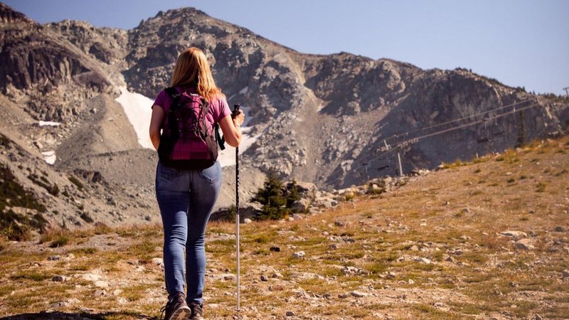 Untitled design - 2026-04-28T190153.860