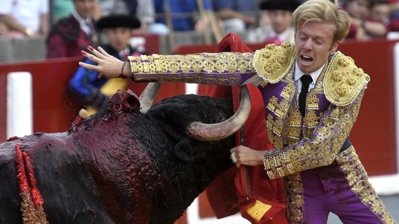 Untitled design - 2026-04-30T184816.808