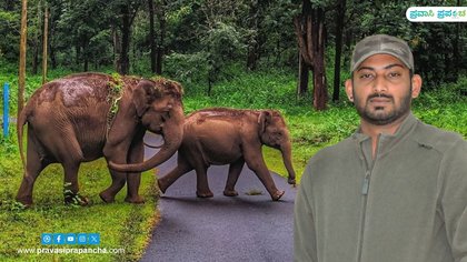 ಕಾಡಿನ ವಿಸ್ಮಯಗಳನ್ನು ಬಿಚ್ಚಿಡುವ ನ್ಯಾಚುರಲಿಸ್ಟ್