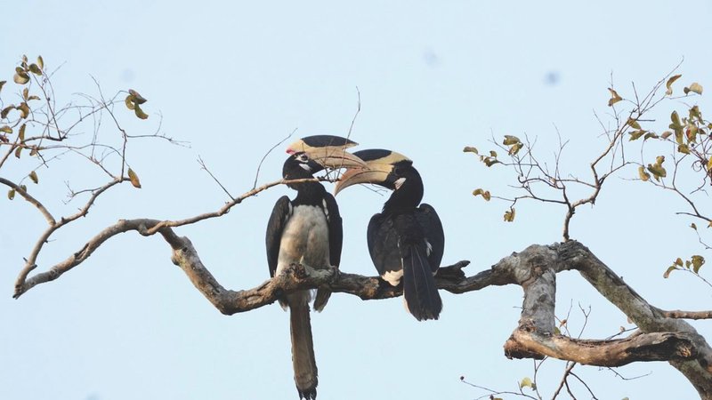 Untitled design (10)