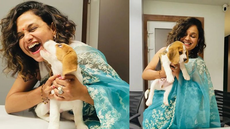 Untitled design (10)