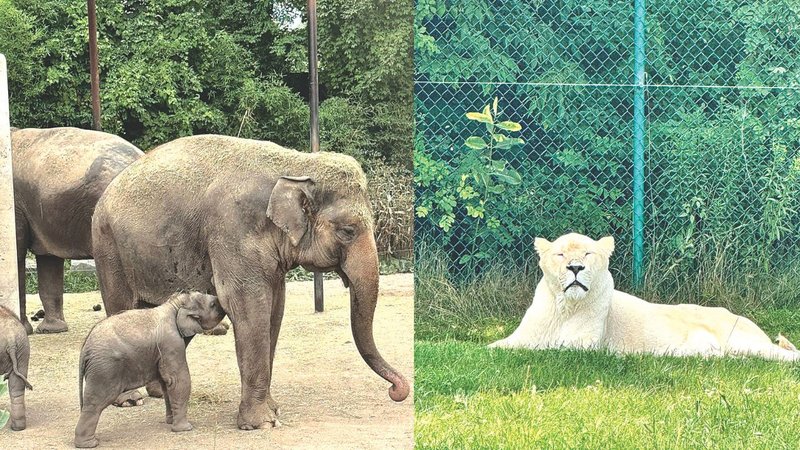 Untitled design (12)