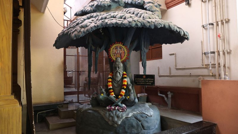 Untitled design (13)