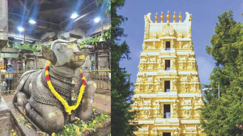 Untitled design (13)