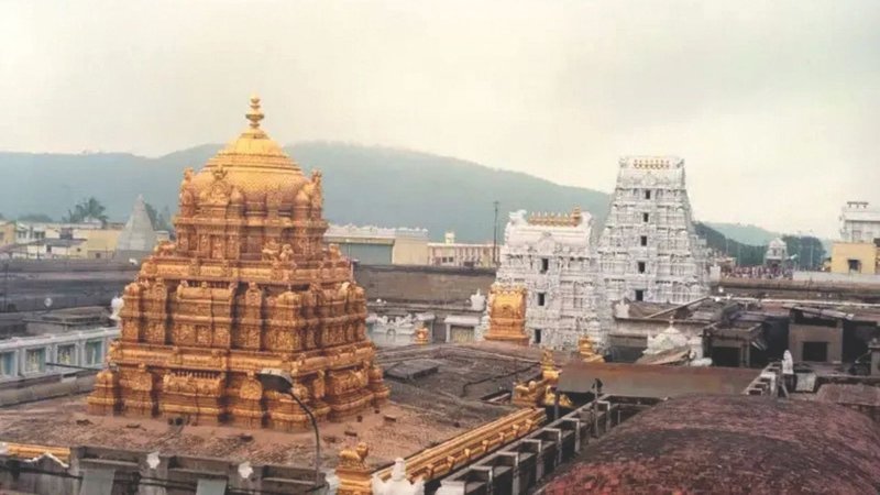 Untitled design (13)