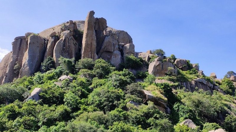 Untitled design (14)