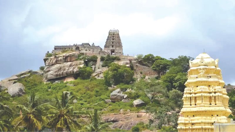 Untitled design (15)