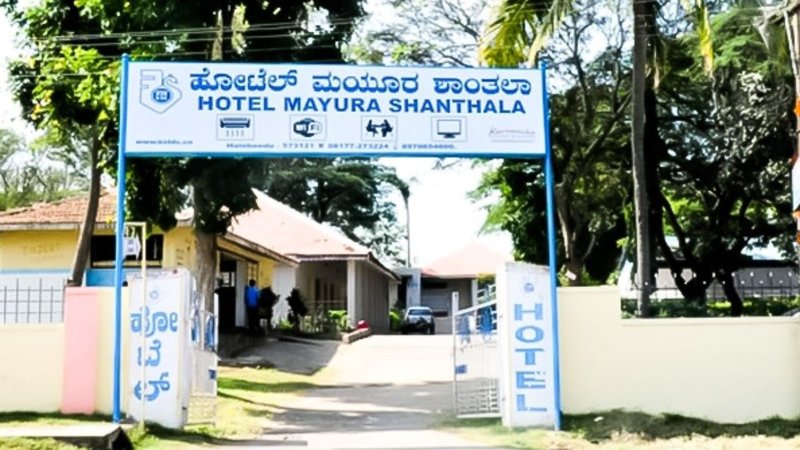 Untitled design (15)