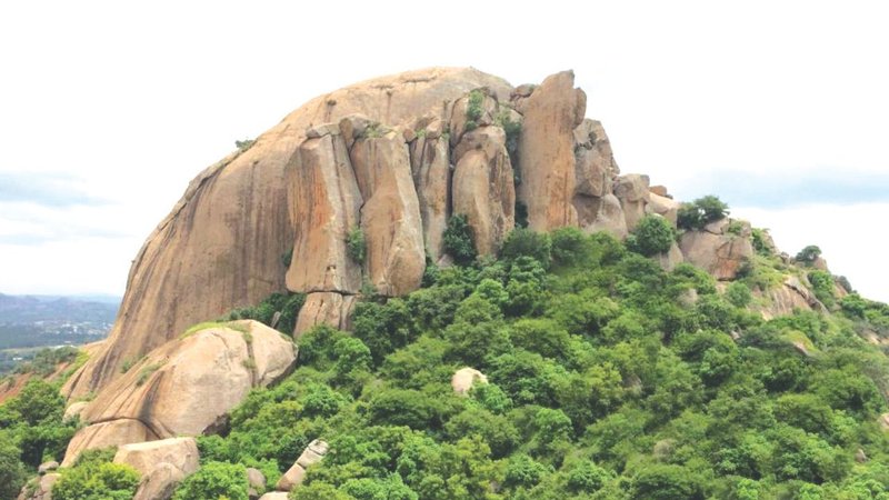 Untitled design (15)