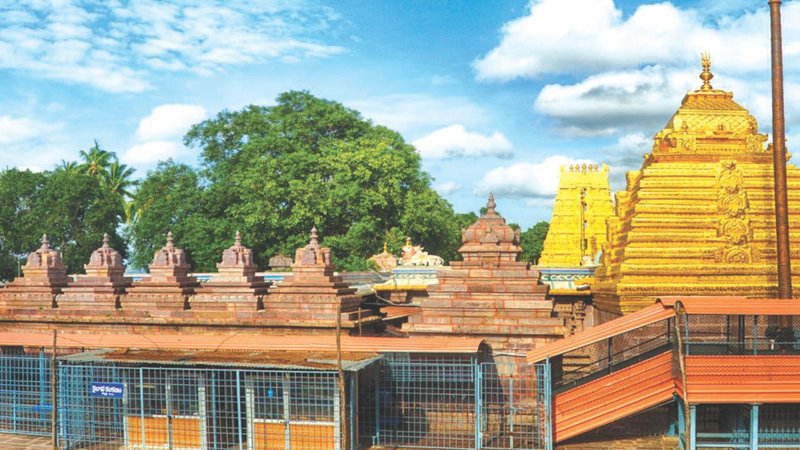 Untitled design (15)