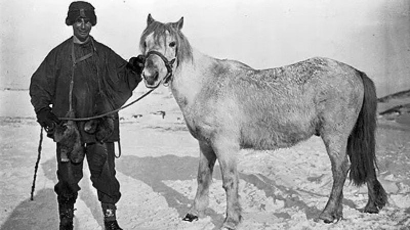 Untitled design (16)