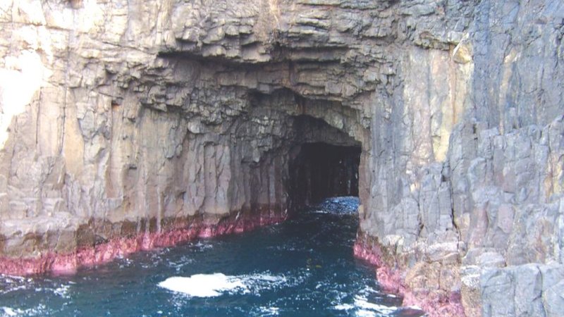 Untitled design (16)