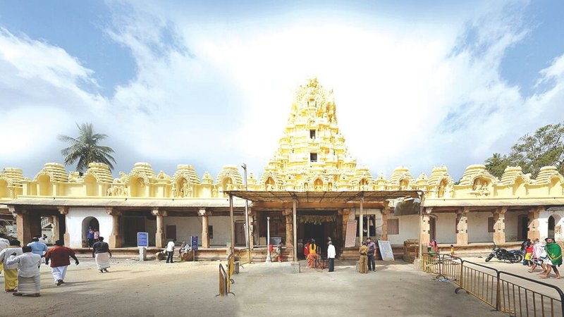 Untitled design (17)