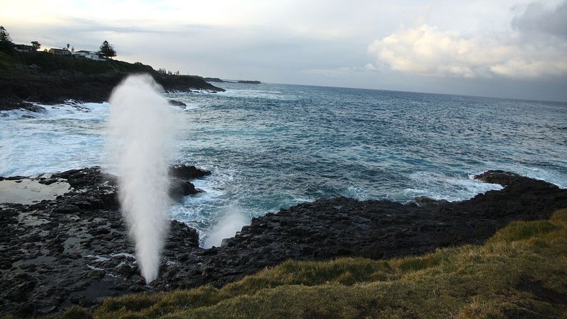 Untitled design (17)