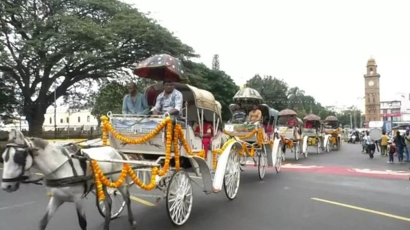 Untitled design (18)