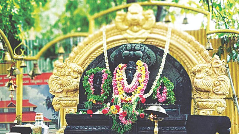 Untitled design (18)