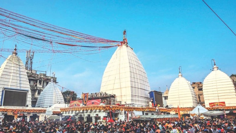 Untitled design (19)