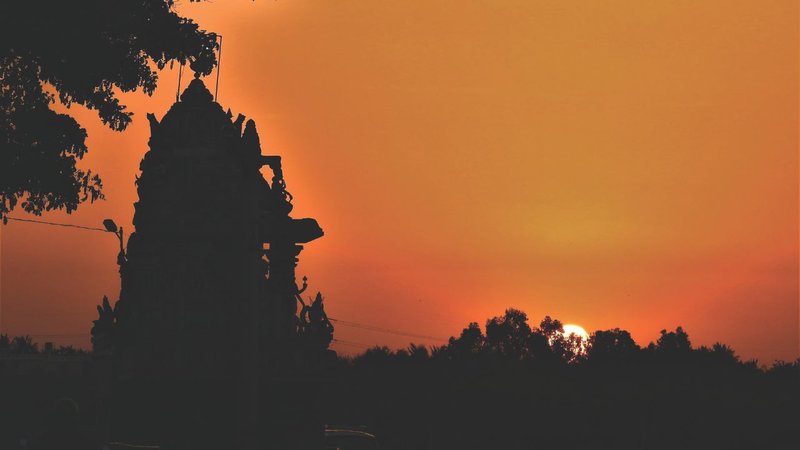 Untitled design (19)