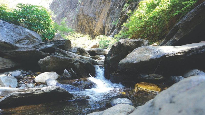 Untitled design (20)